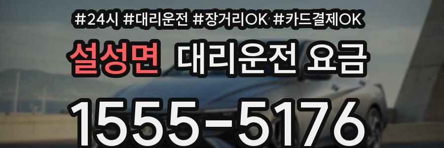 설성면 대리운전 요금