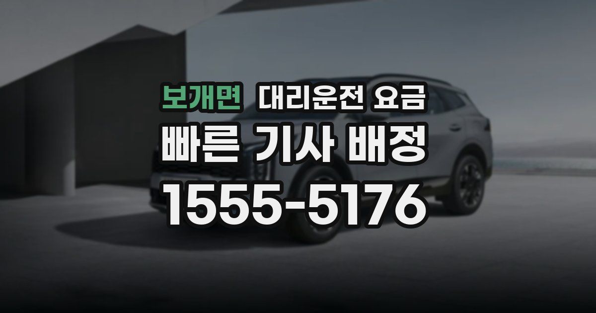 보개면 대리운전 가격