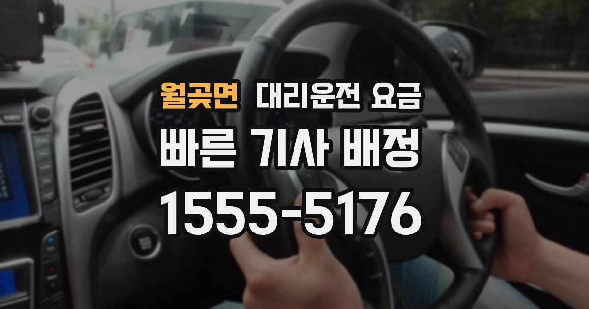 월곶면 대리운전 가격
