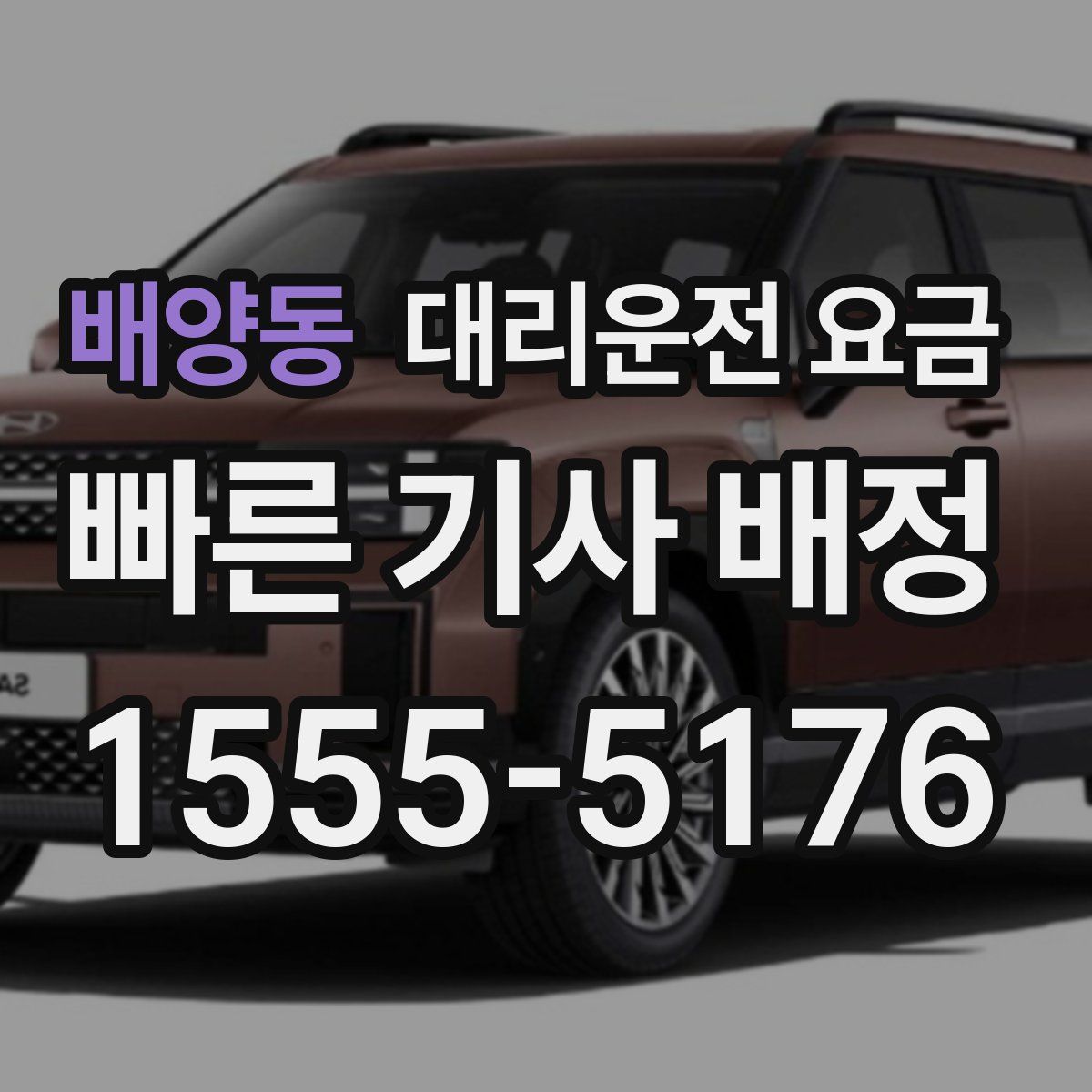 배양동 대리운전