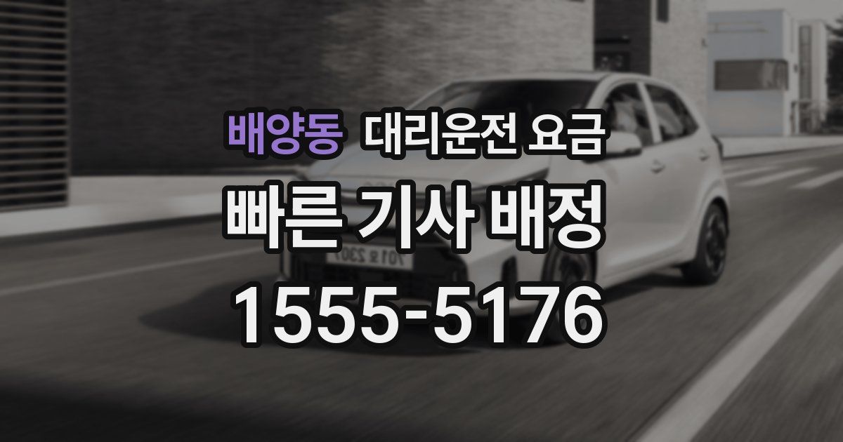 배양동 대리운전 가격
