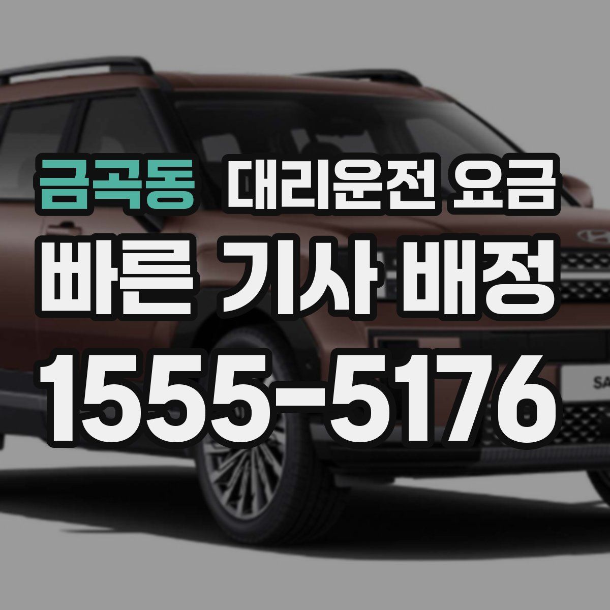 금곡동 대리운전