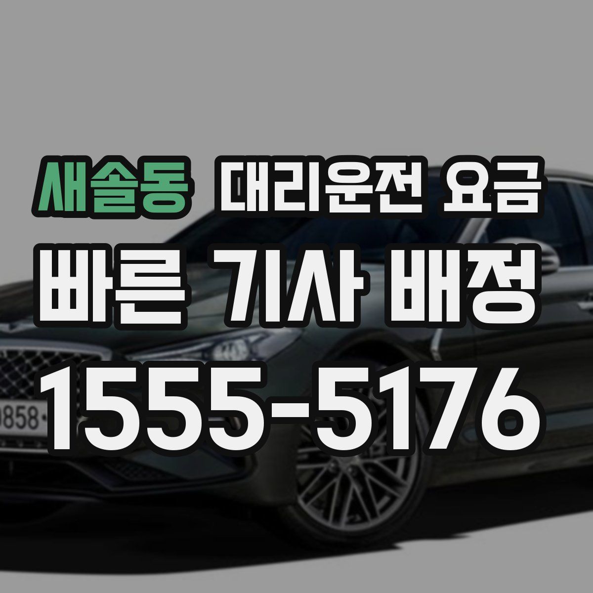 새솔동 대리운전