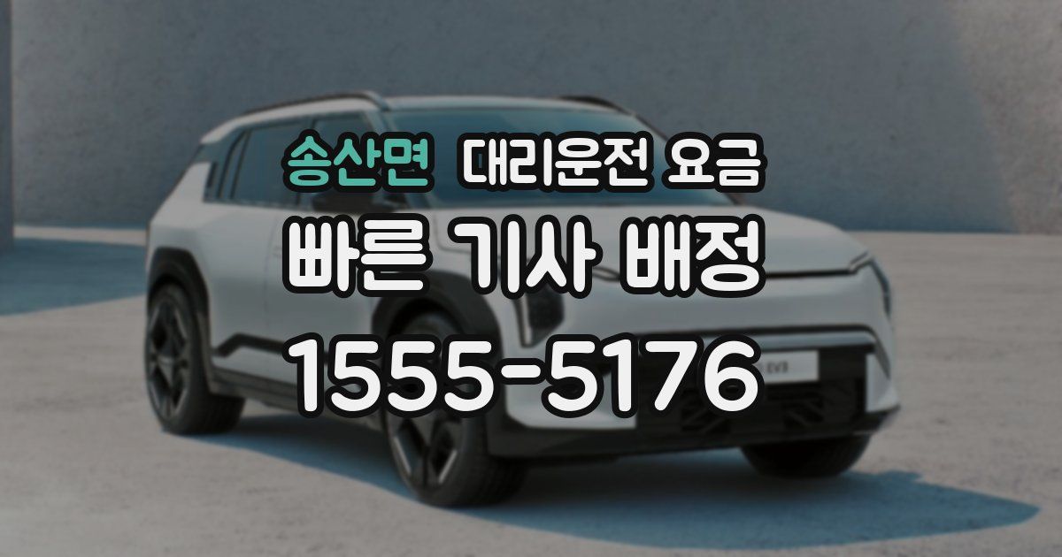 송산면 대리운전 가격