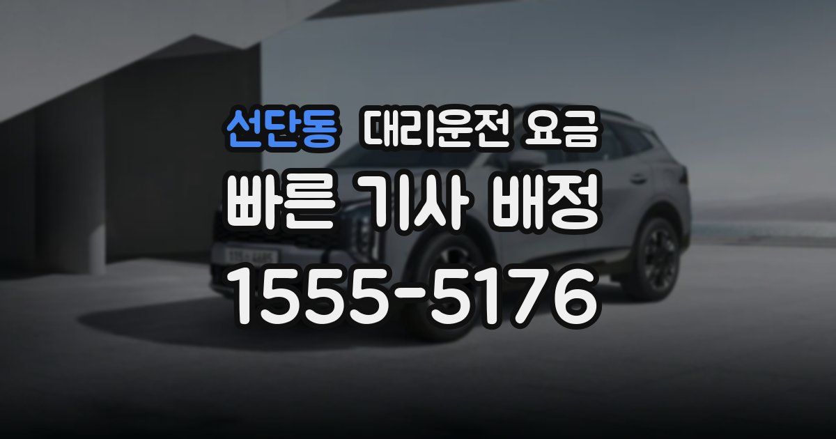 선단동 대리운전 가격