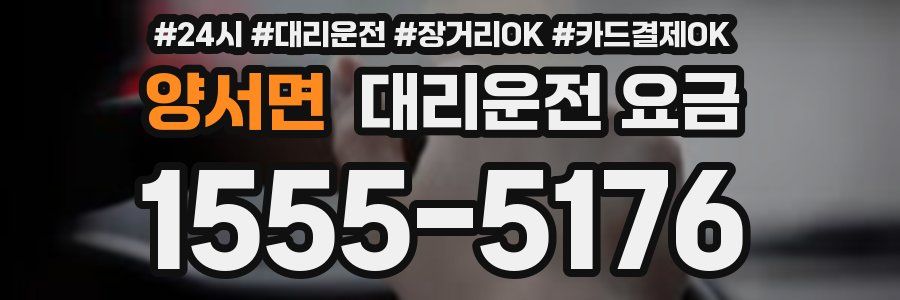 양서면 대리운전 요금