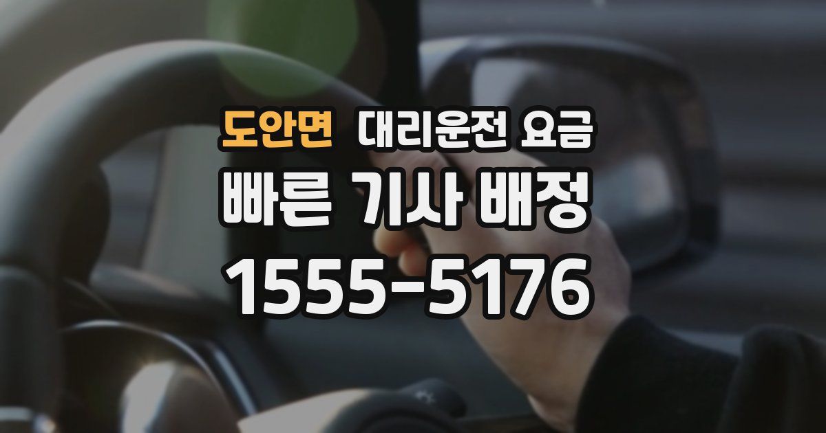 도안면 대리운전 가격