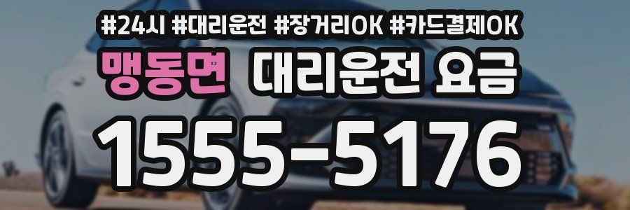 맹동면 대리운전 요금