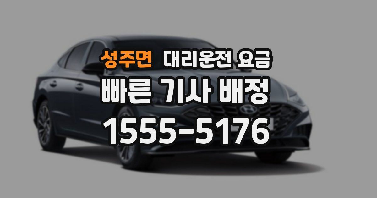 성주면 대리운전 가격