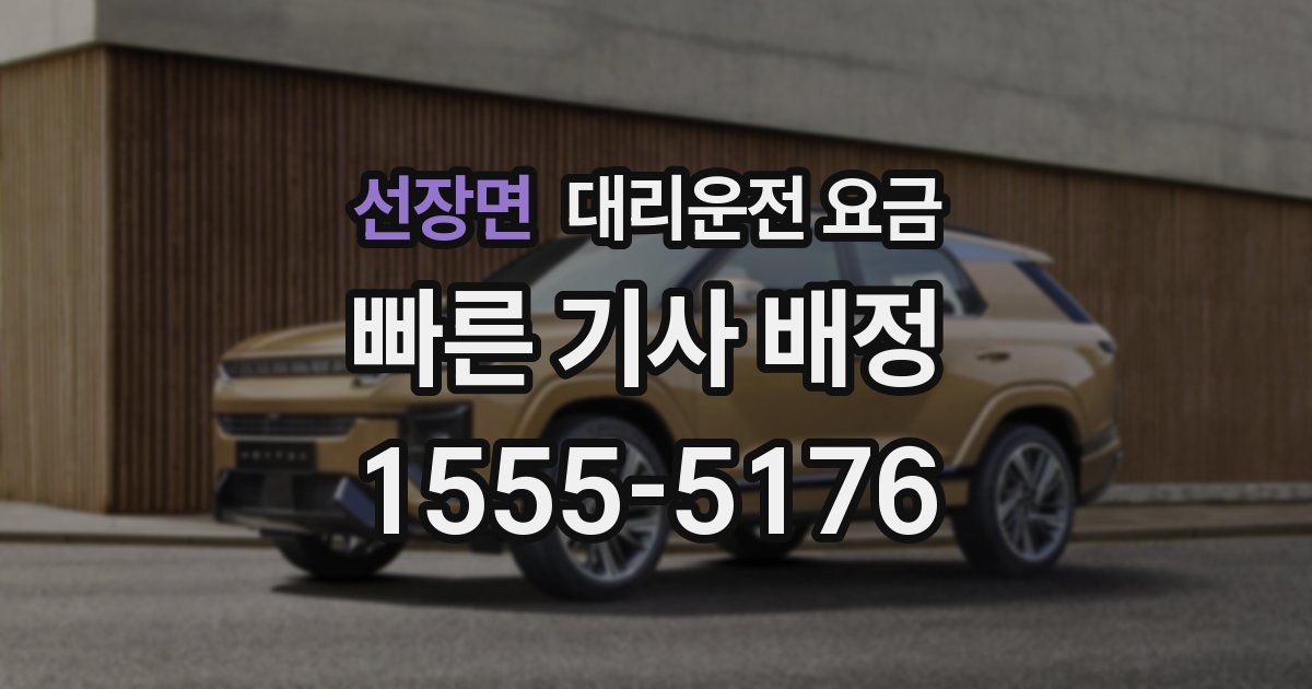 선장면 대리운전 가격