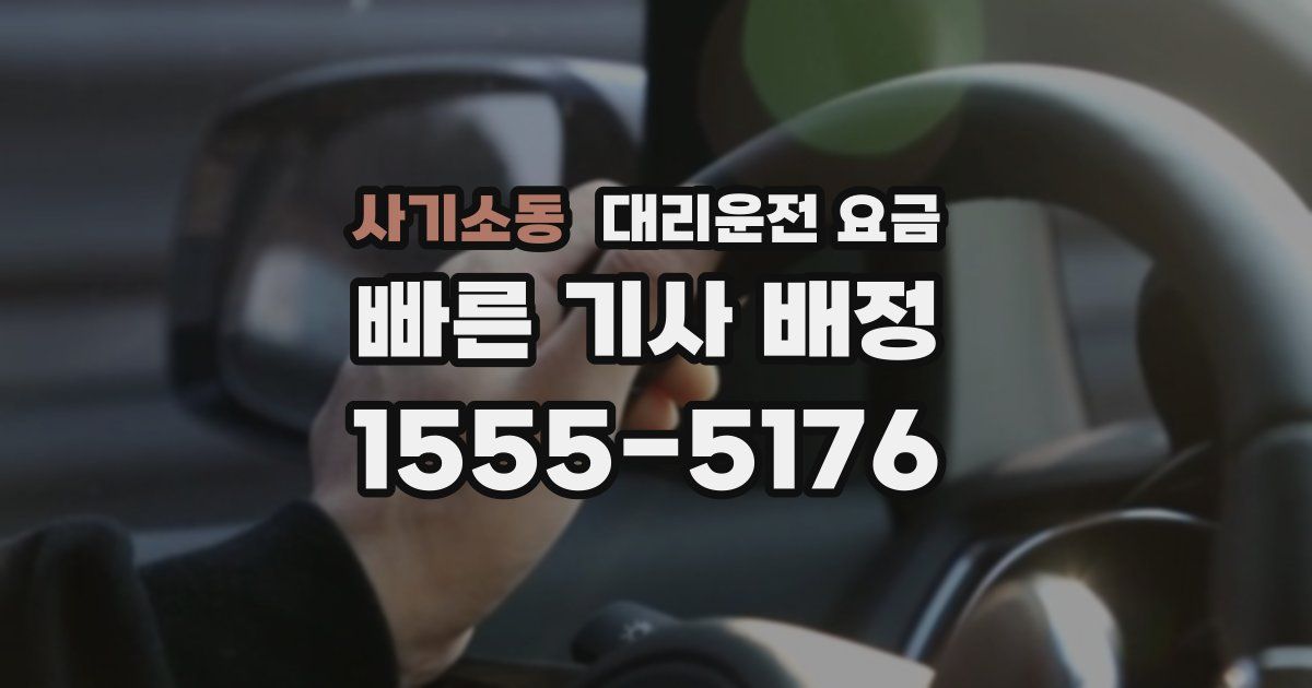 사기소동 대리운전 가격