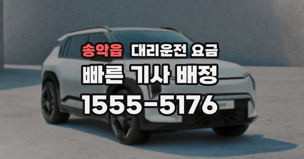 송악읍 대리운전 가격