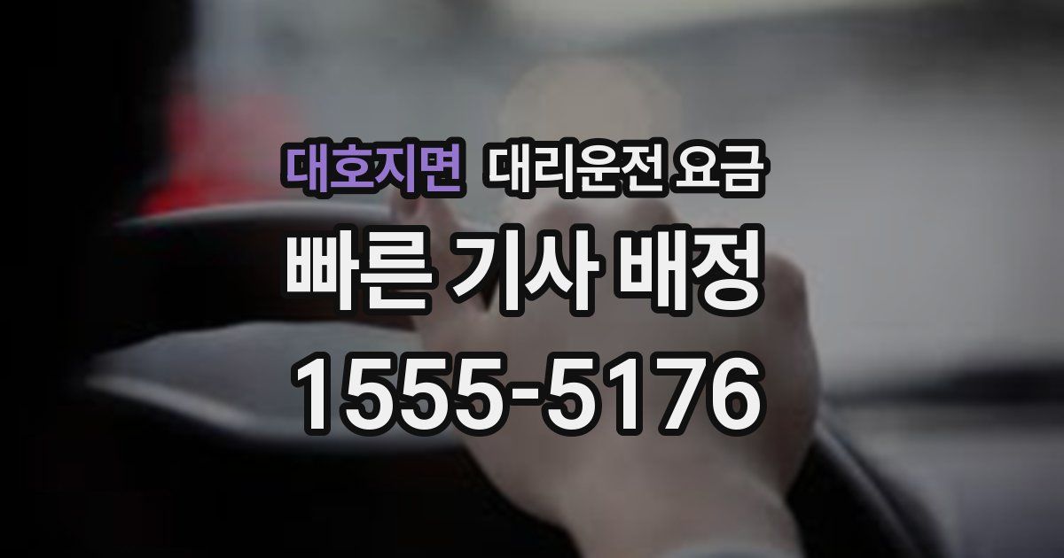대호지면 대리운전 가격