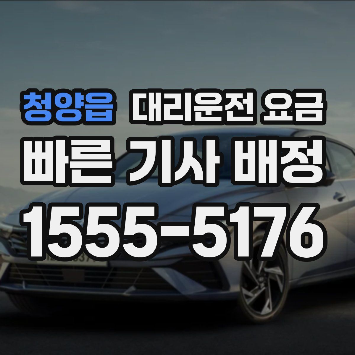 청양읍 대리운전