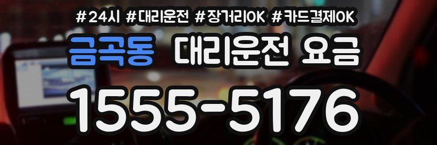 금곡동 대리운전 요금