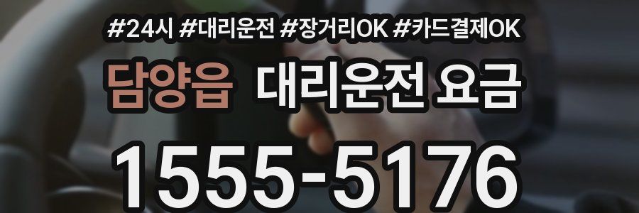 담양읍 대리운전 요금