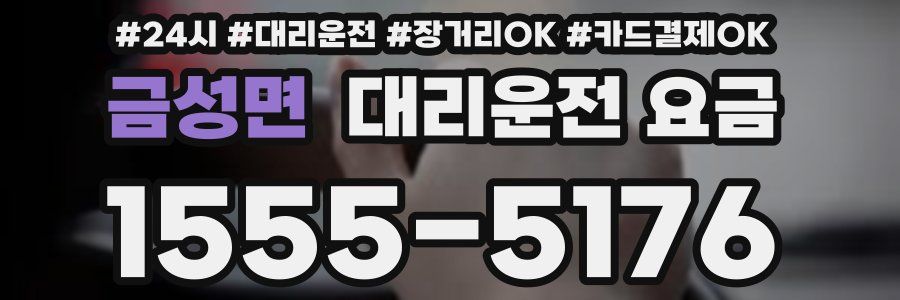 금성면 대리운전 요금