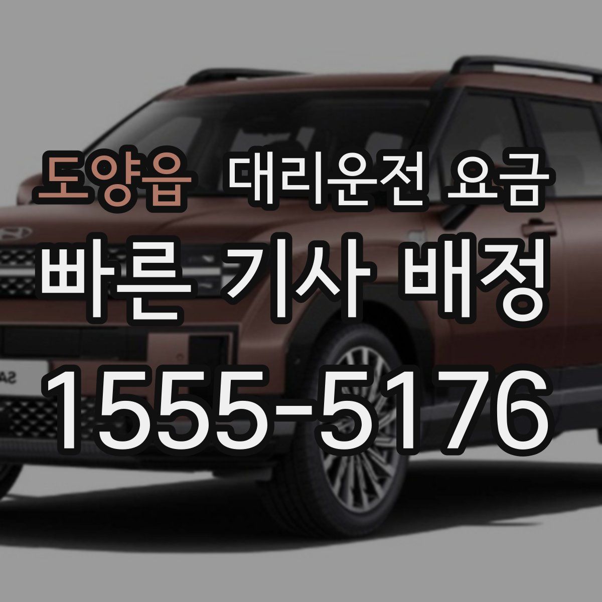 도양읍 대리운전