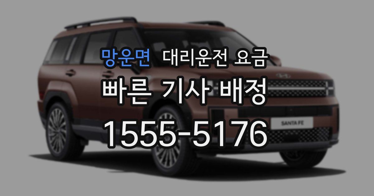 망운면 대리운전 가격