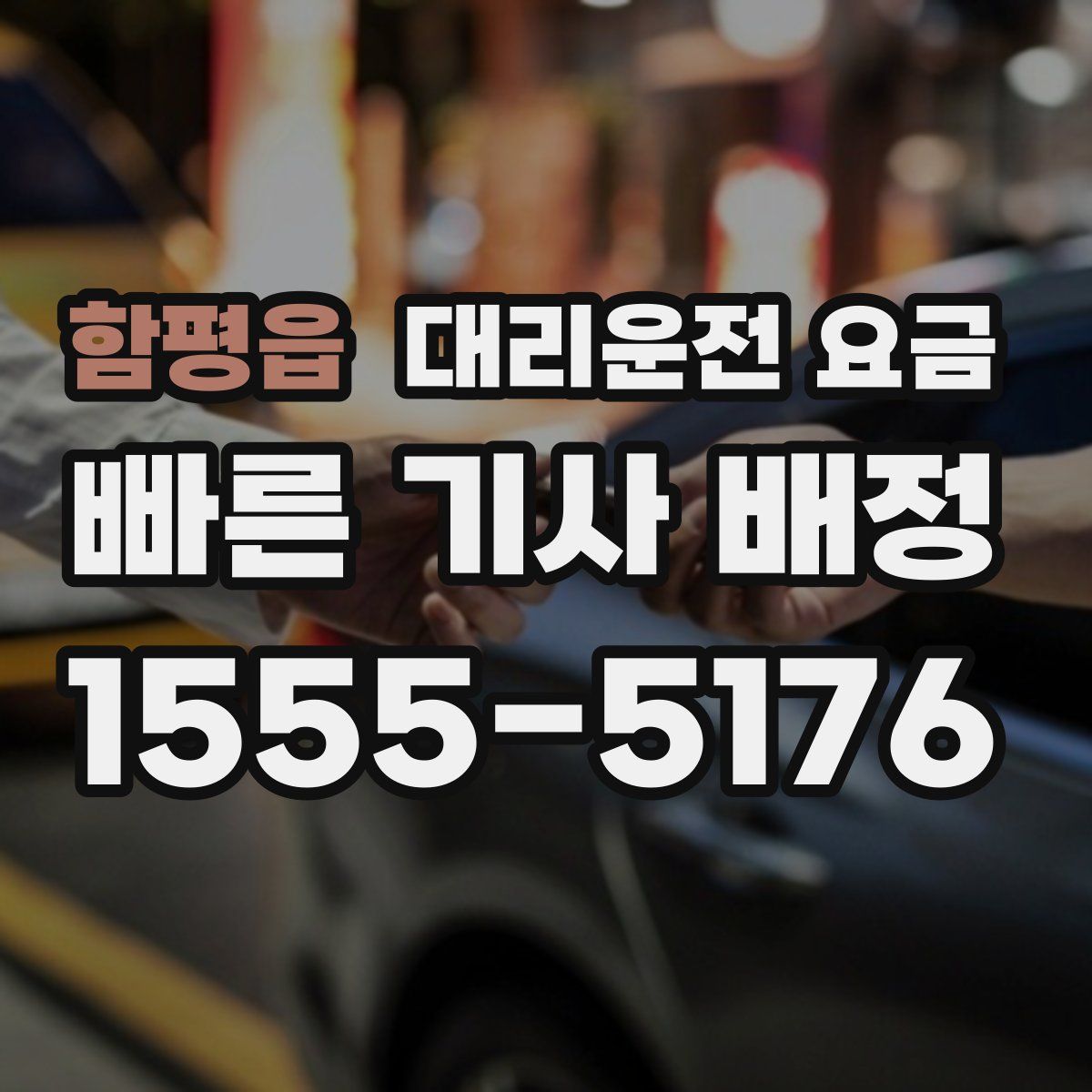 함평읍 대리운전