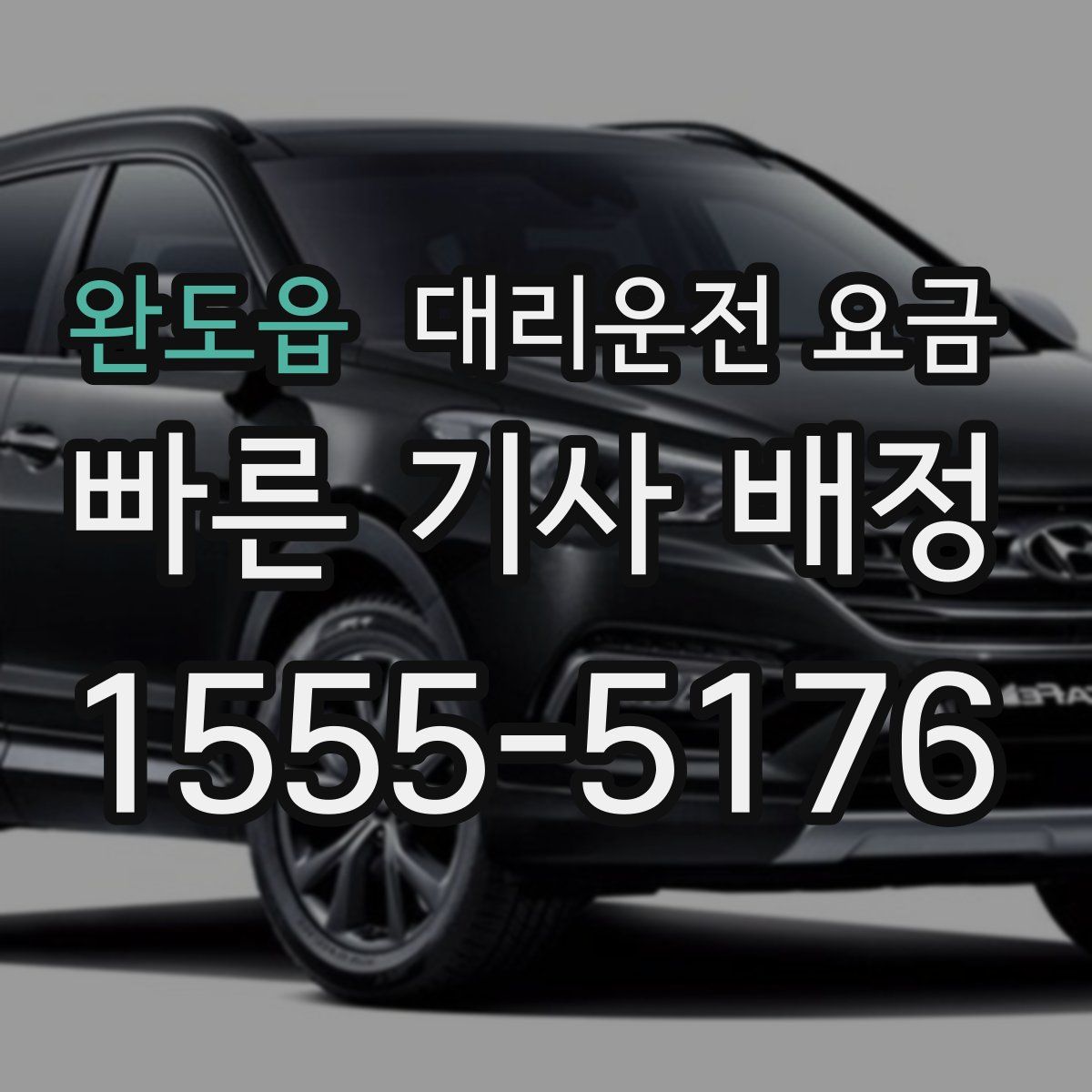 완도읍 대리운전