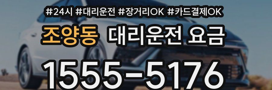 조양동 대리운전 요금