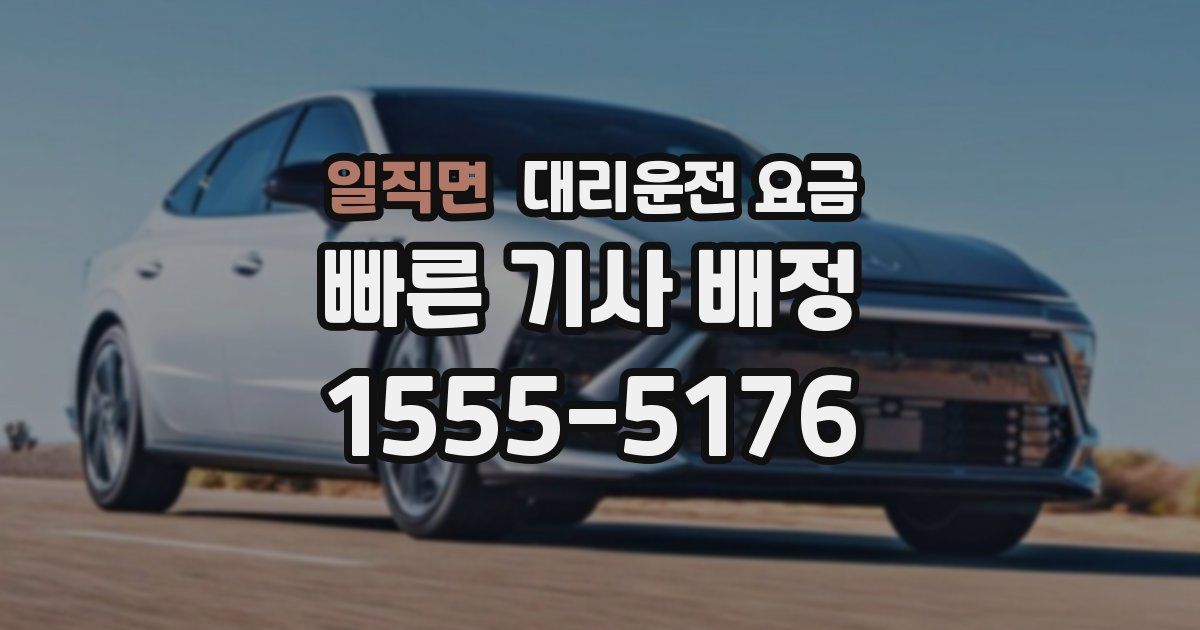 일직면 대리운전 가격