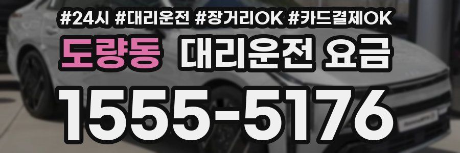 도량동 대리운전 요금