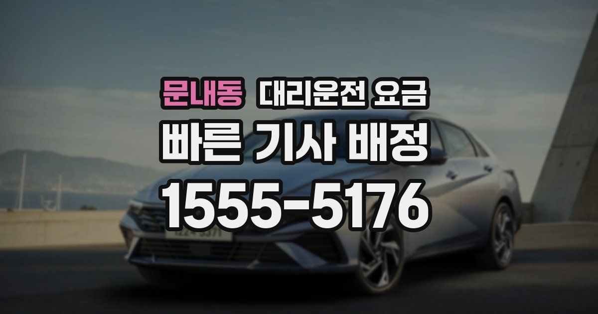 문내동 대리운전 가격