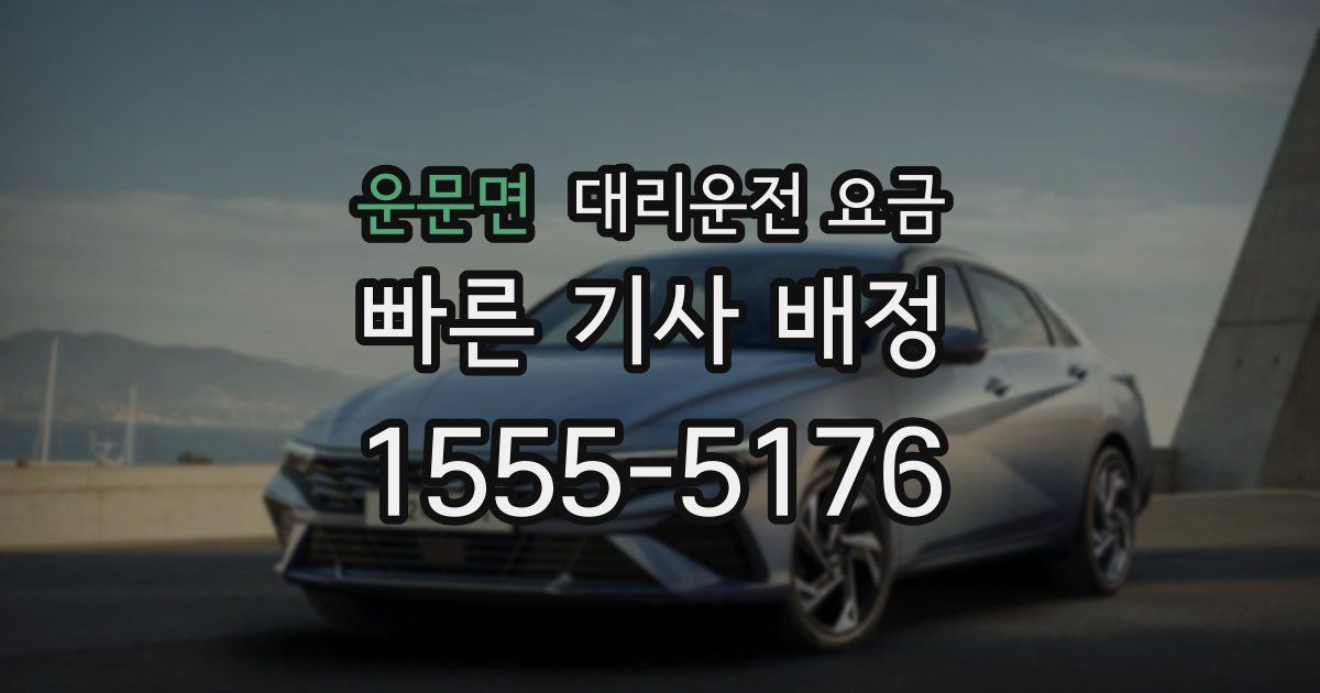 운문면 대리운전 가격