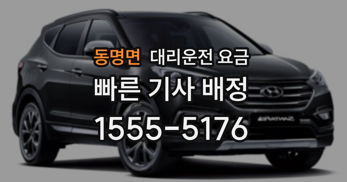 동명면 대리운전 가격