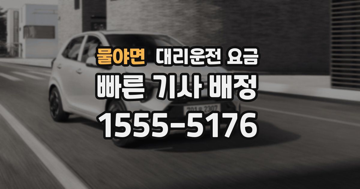 물야면 대리운전 가격