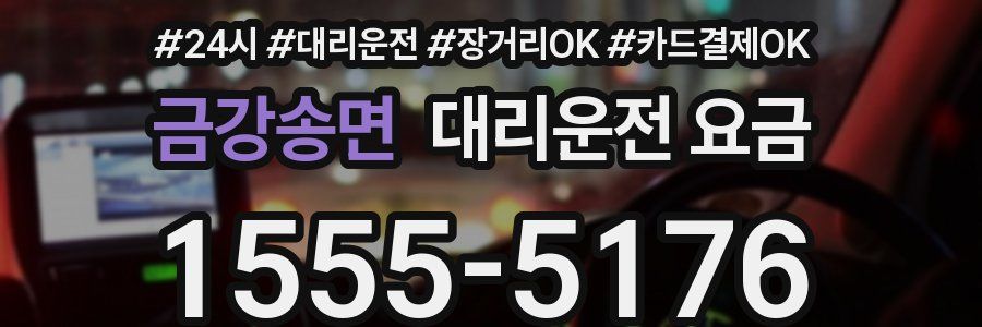금강송면 대리운전 요금