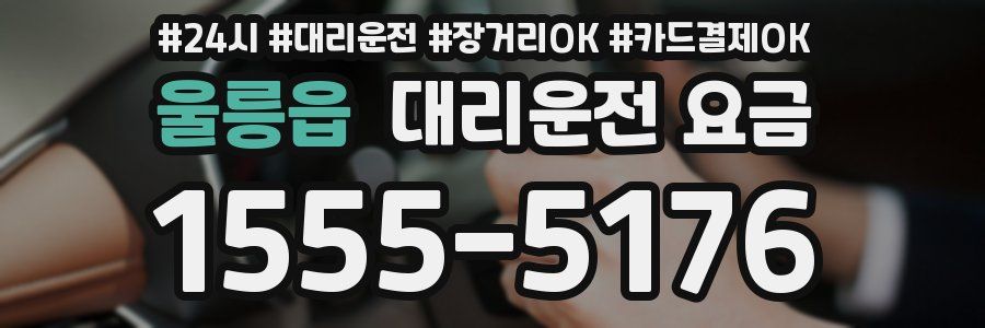 울릉읍 대리운전 요금