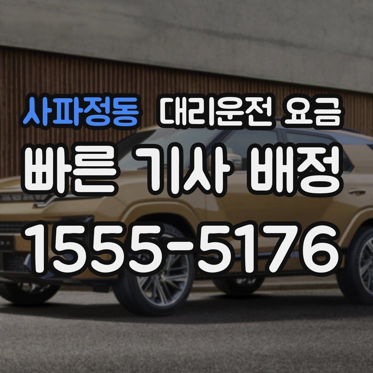 사파정동 대리운전