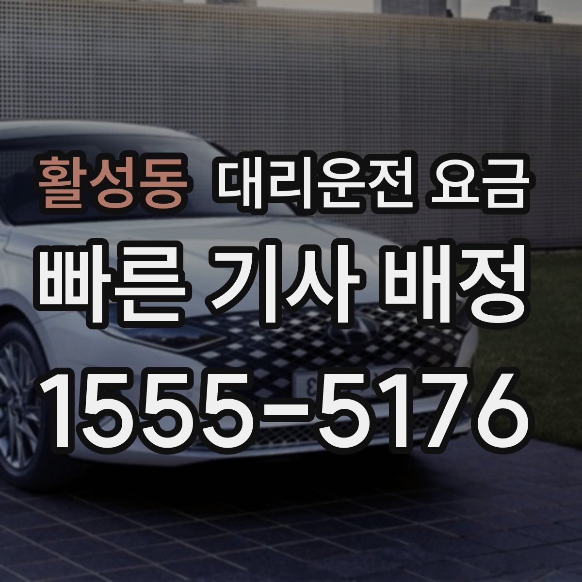 활성동 대리운전