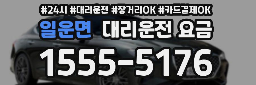 일운면 대리운전 요금