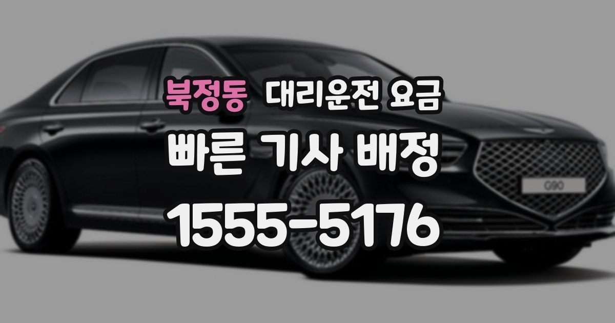 북정동 대리운전 가격