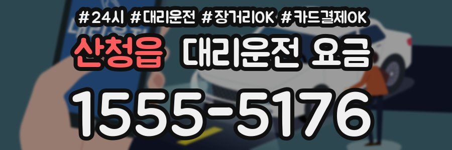 산청읍 대리운전 요금