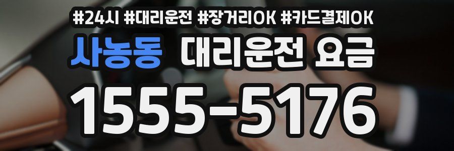 사농동 대리운전 요금