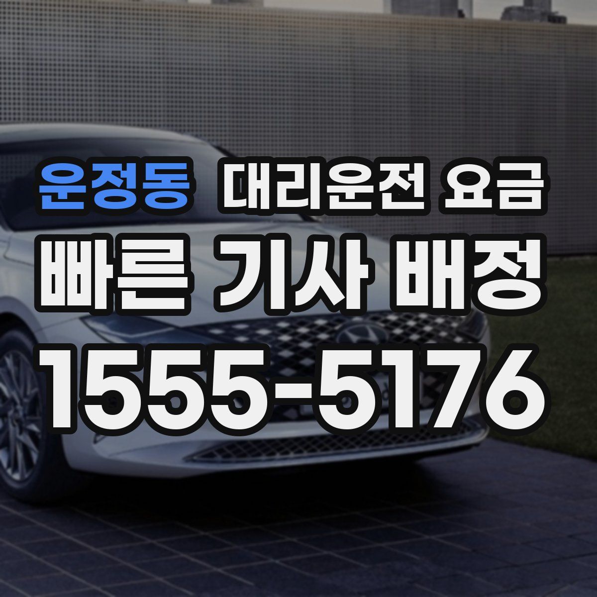 운정동 대리운전