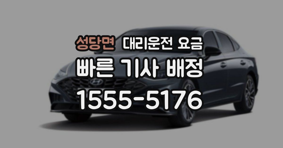 성당면 대리운전 가격