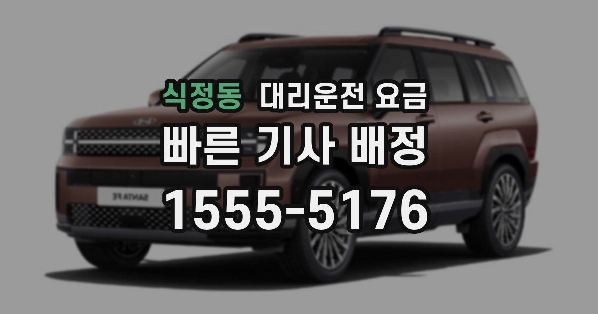 식정동 대리운전 가격