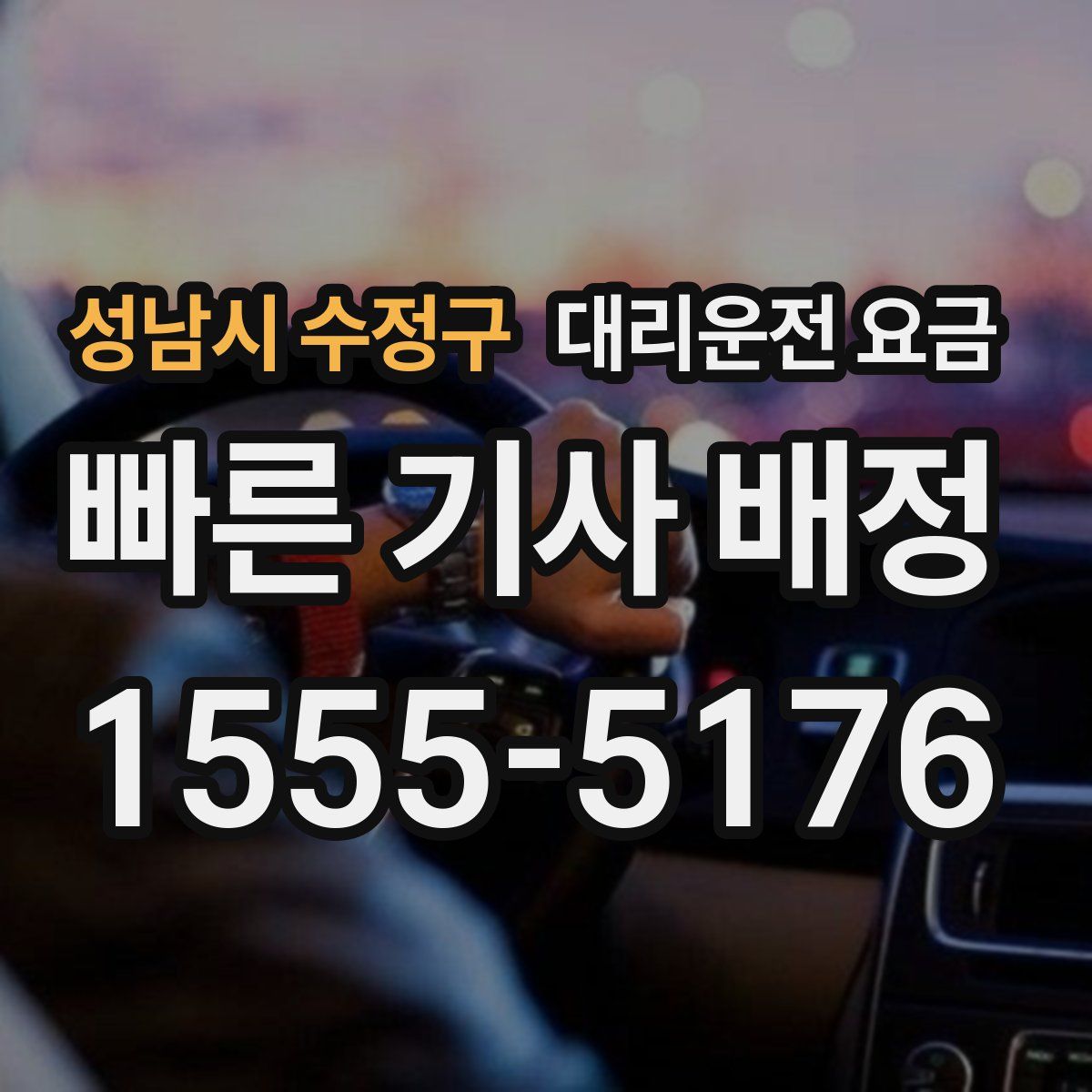 성남시 수정구 대리운전