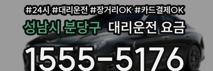 성남시 분당구 대리운전 요금