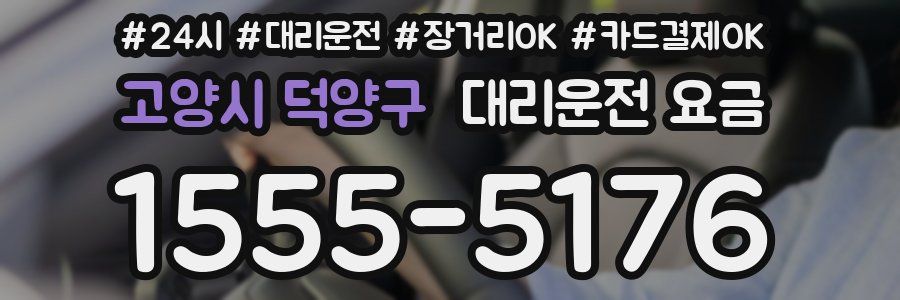 고양시 덕양구 대리운전 요금