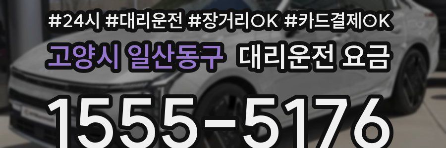 고양시 일산동구 대리운전 요금