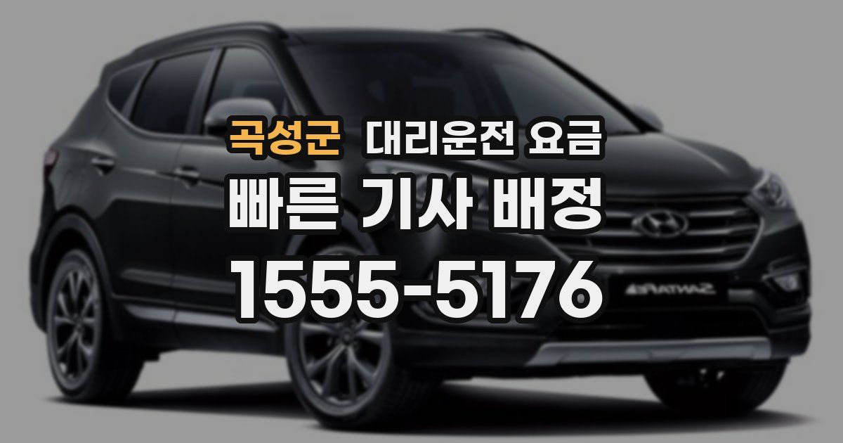 곡성군 대리운전 가격