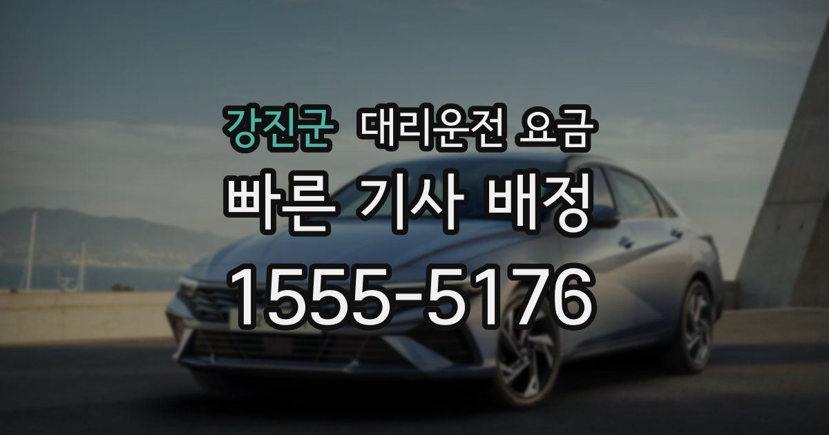 강진군 대리운전 가격