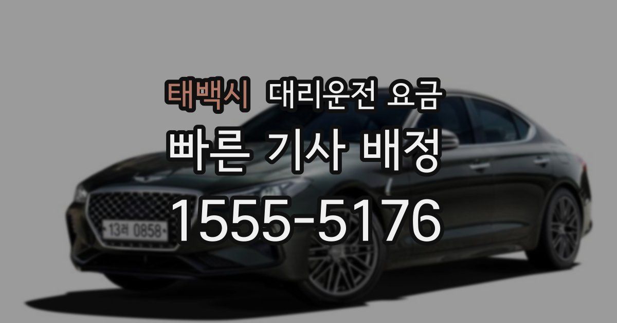 태백시 대리운전 가격